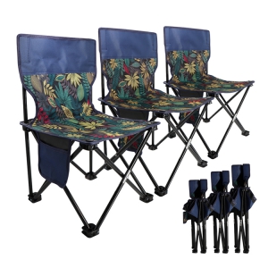 Folding fishing chair