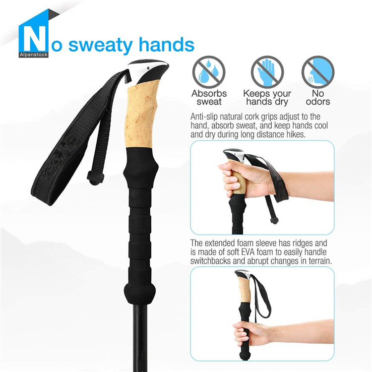 Trekking Pole (6).jpg
