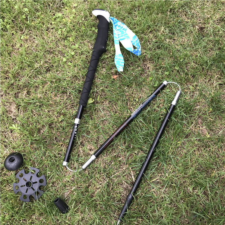 Collapsible Folding Walking Sticks (8).jpg