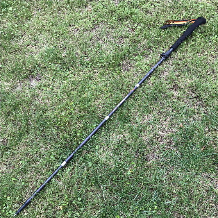 fiber Walking Sticks (1).jpg