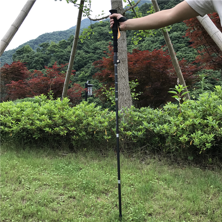 fiber Walking Sticks (10).jpg