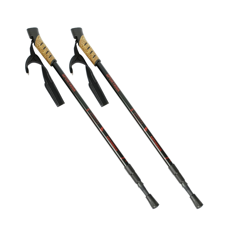 Trekking Pole (1).jpg