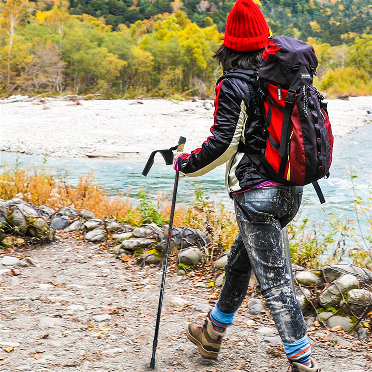 Trekking Pole (12).jpg