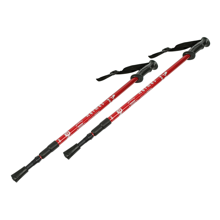 Trekking Pole (4).jpg