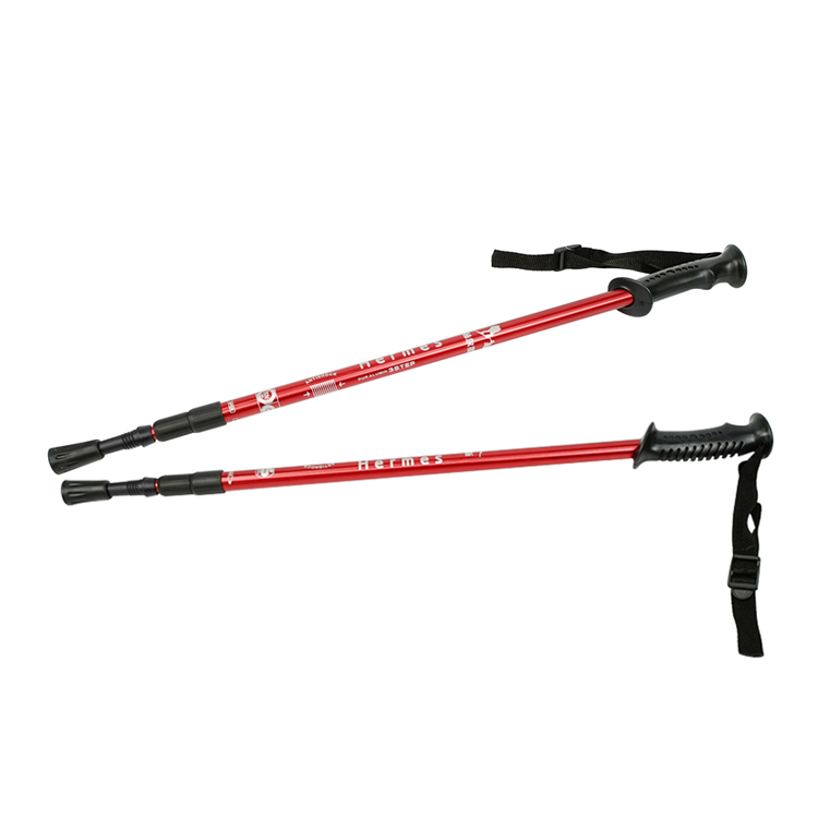 Trekking Pole (7).jpg