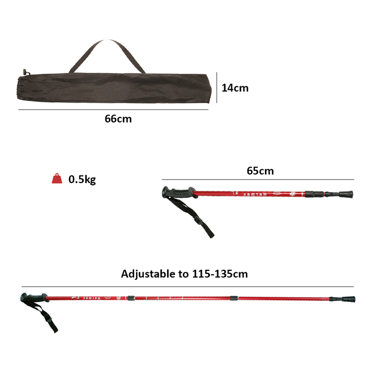 Trekking Pole (10).jpg