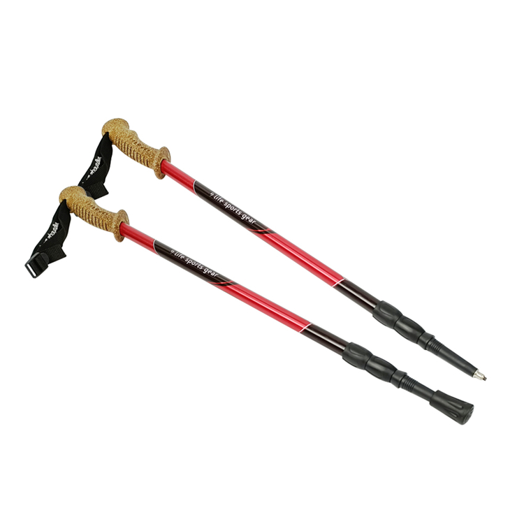 Trekking Pole (5).jpg
