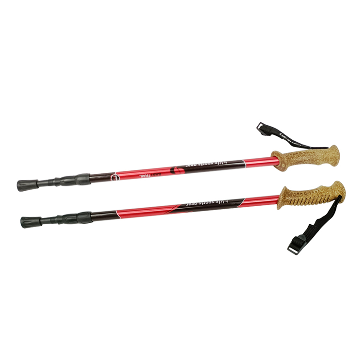 Trekking Pole (2).jpg
