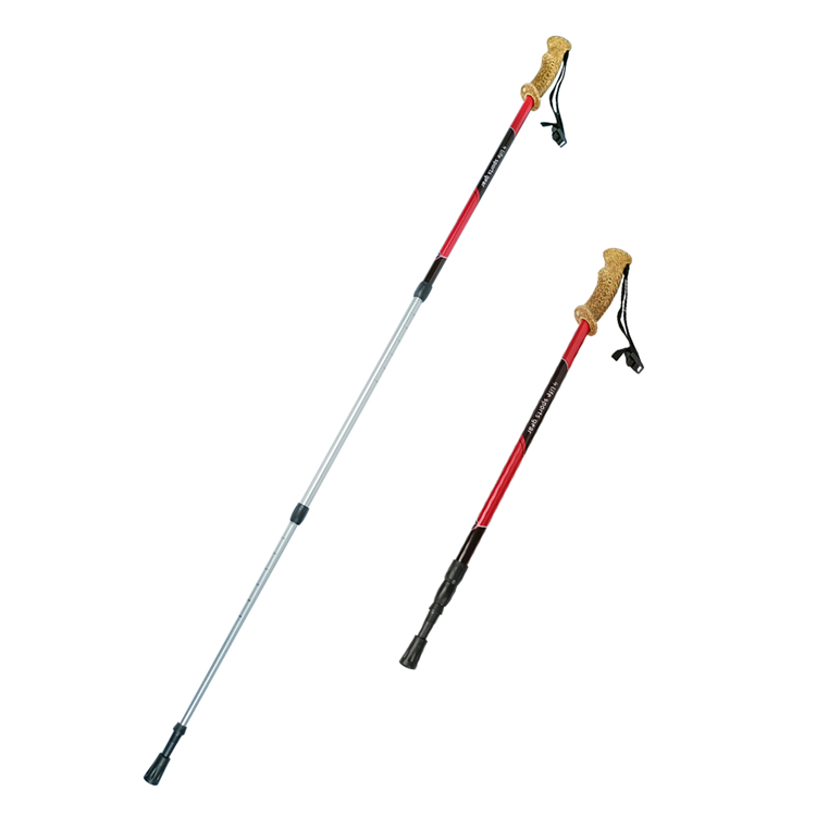 Trekking Pole (6).jpg