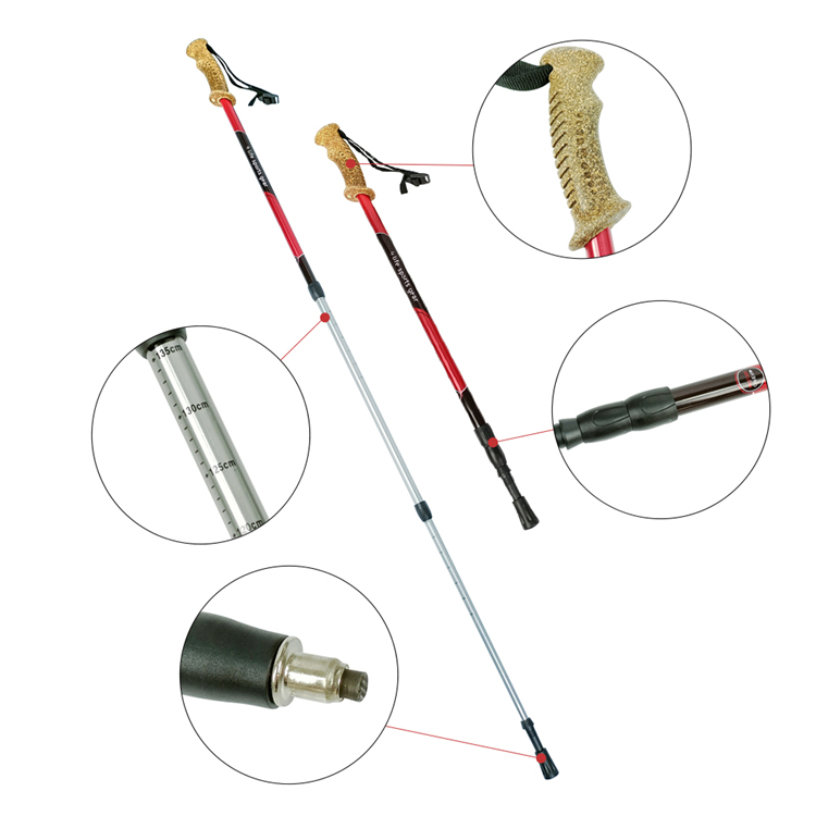Trekking Pole (10).jpg