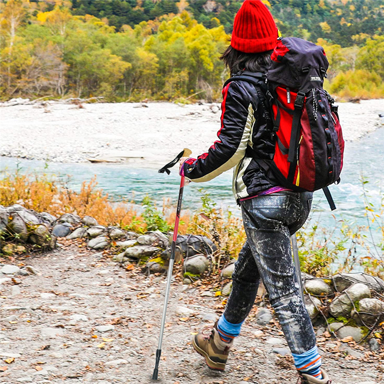 Trekking Pole (11).jpg