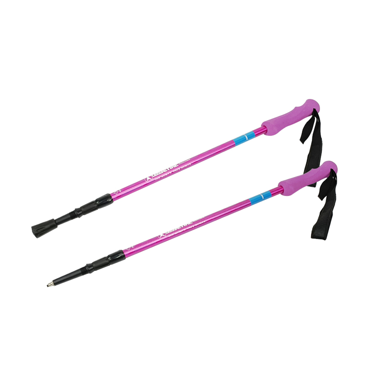Trekking Pole (5).jpg