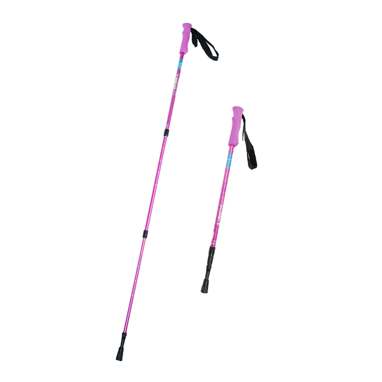 Trekking Pole (9).jpg