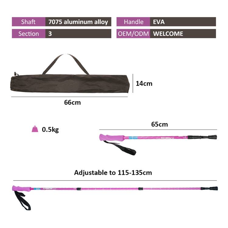 Trekking Pole (10).jpg