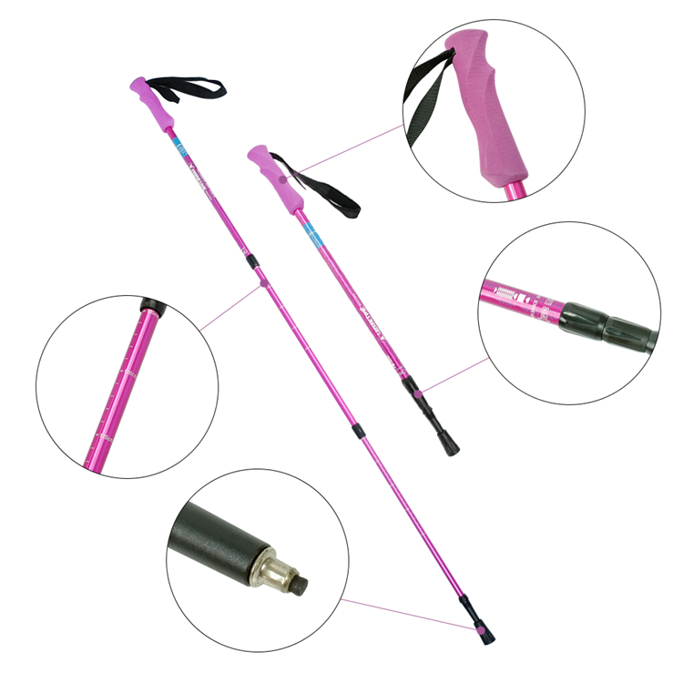 Trekking Pole (11).jpg