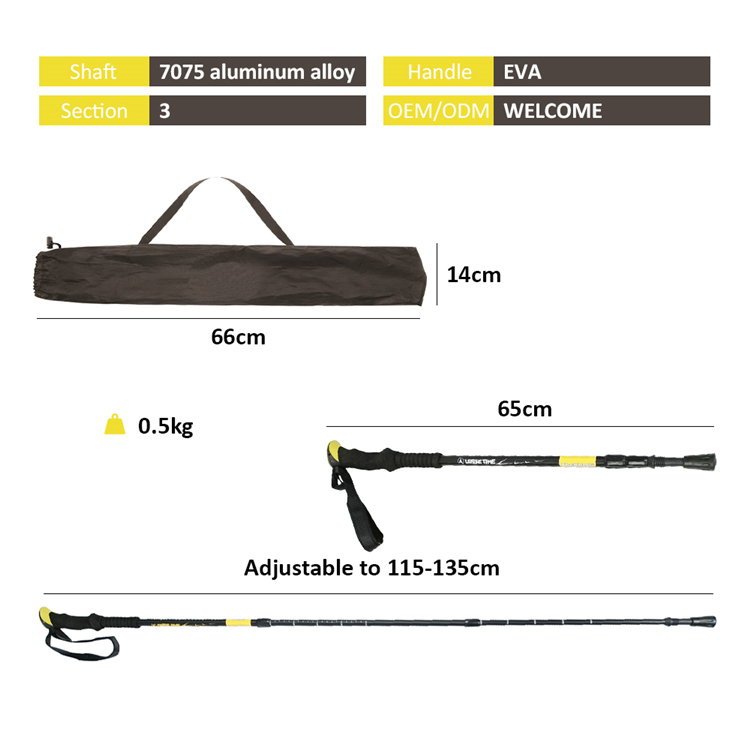 Trekking Pole (10).jpg