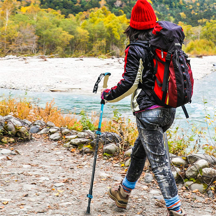 Trekking Pole (11).jpg