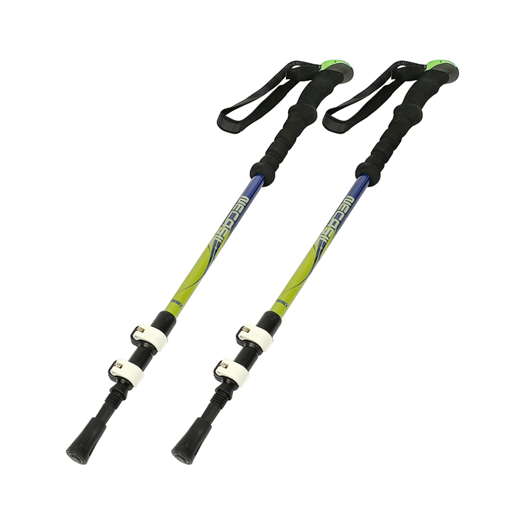 Trekking Pole (2).jpg