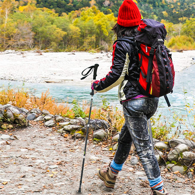 Trekking Pole (11).jpg