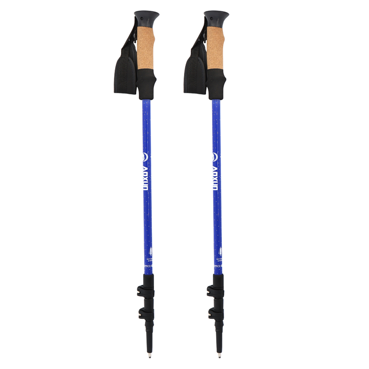 Trekking Pole (5).jpg