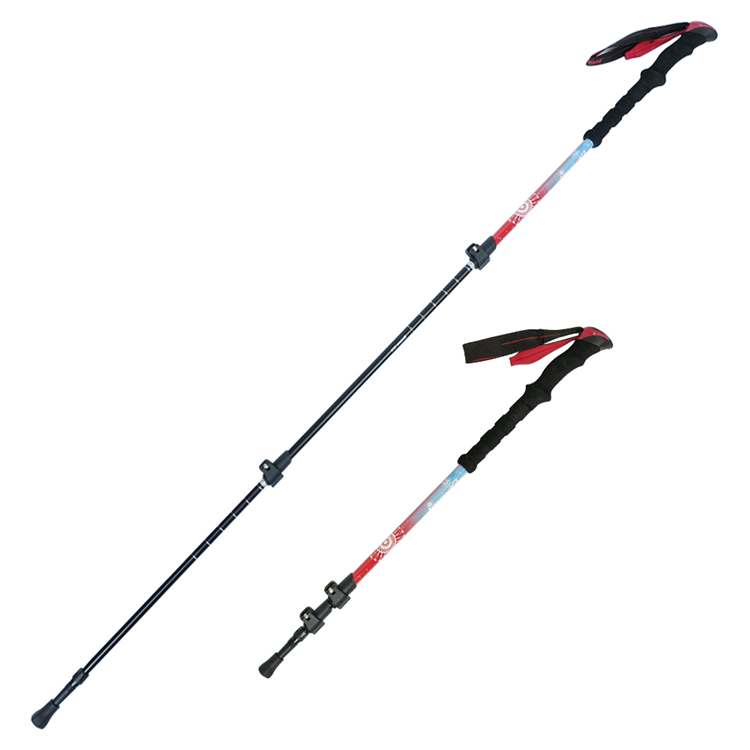 Trekking Pole (4).jpg