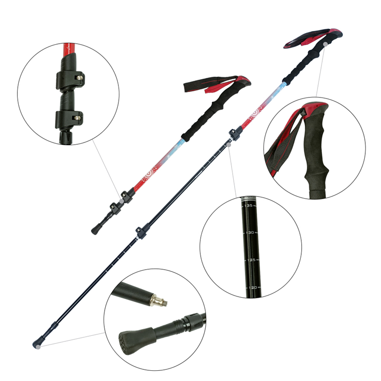Trekking Pole (10).jpg