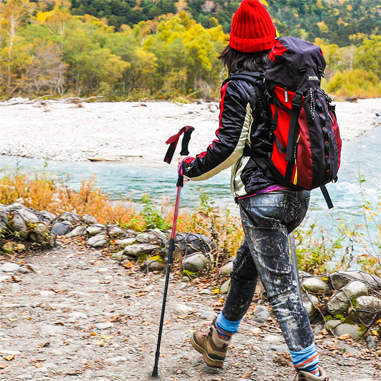 Trekking Pole (11).jpg