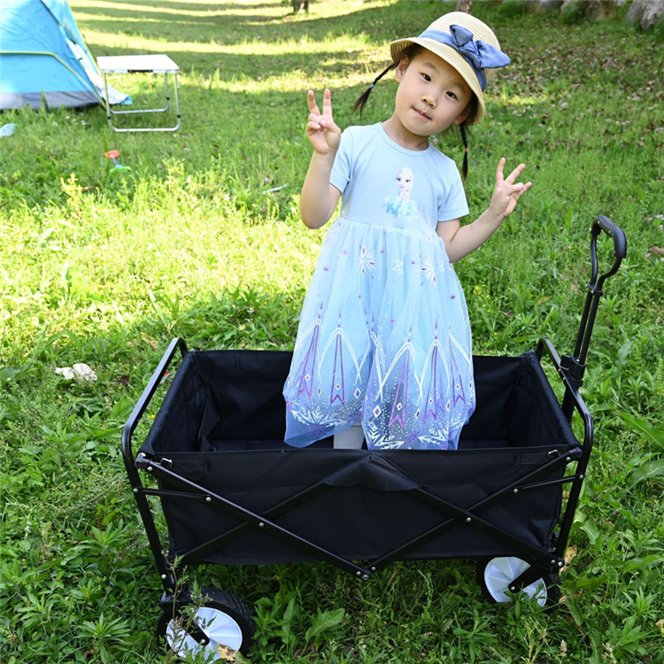 camping trolley (11).jpg
